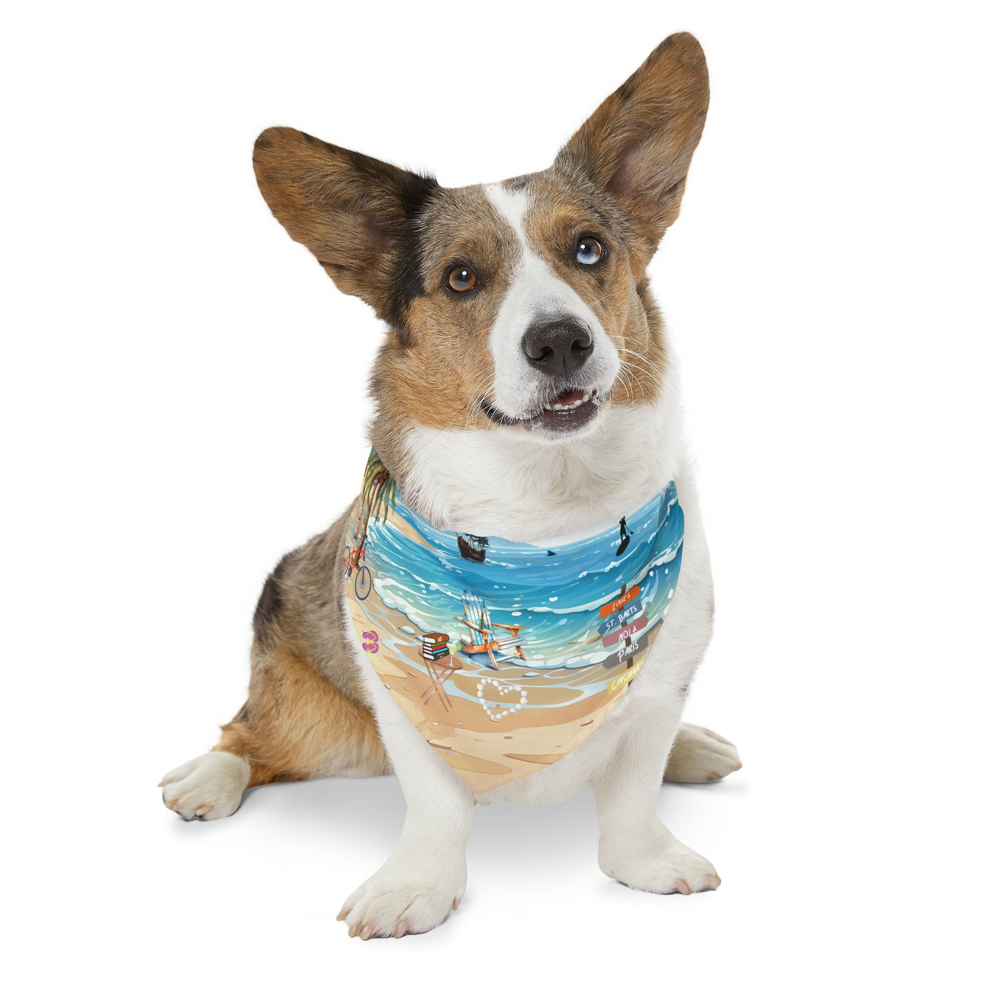 Living Your Life Pet Bandana Collar