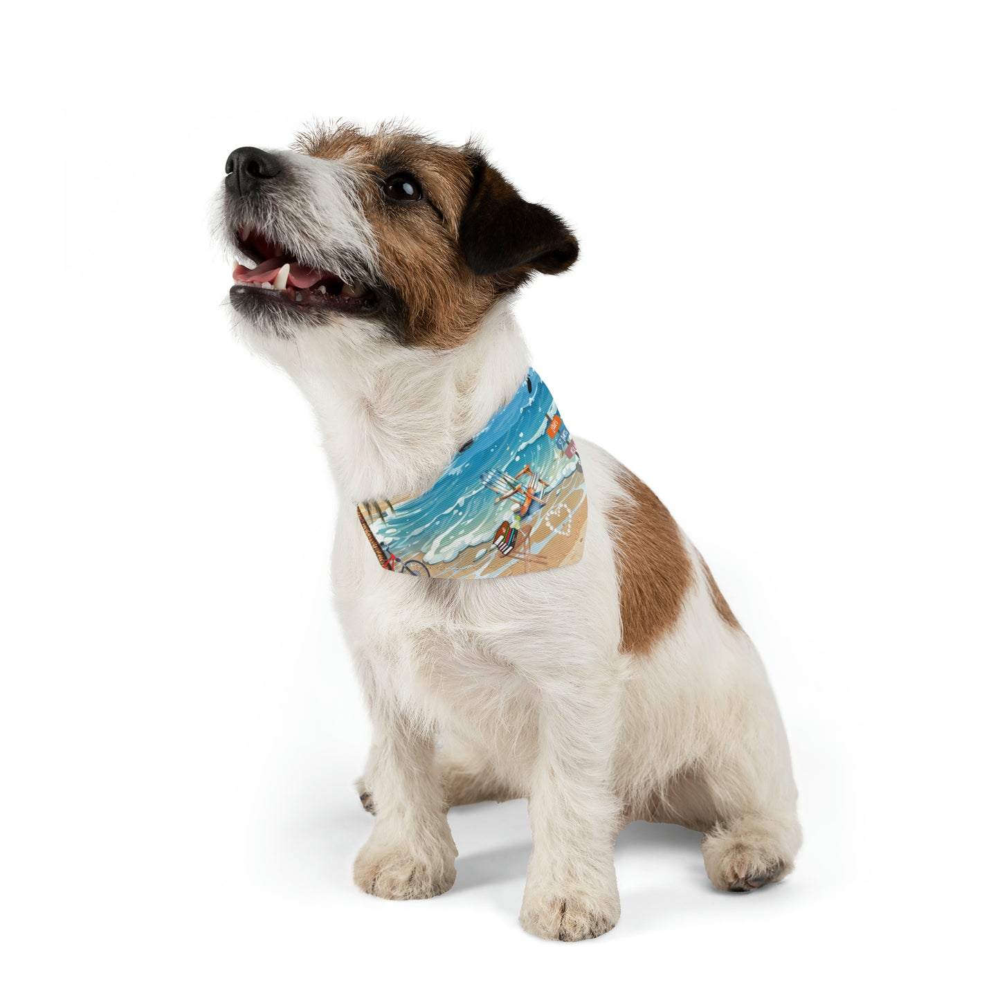 Living Your Life Pet Bandana Collar